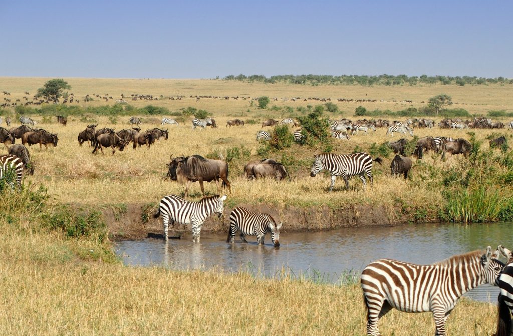 3 Days Amboseli National Park Safari