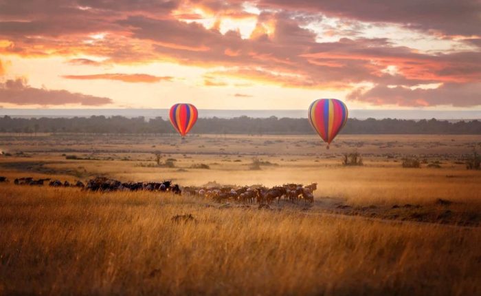 4 Days Masai Mara Migration Safari