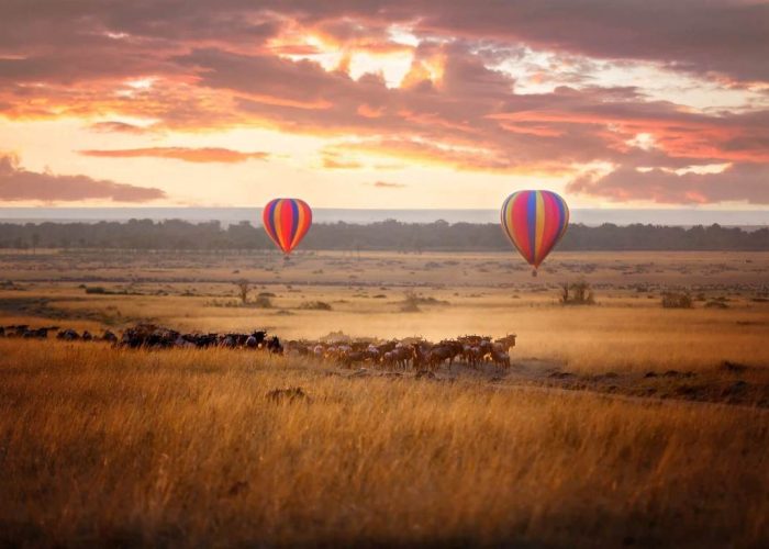 4 Days Masai Mara Migration Safari