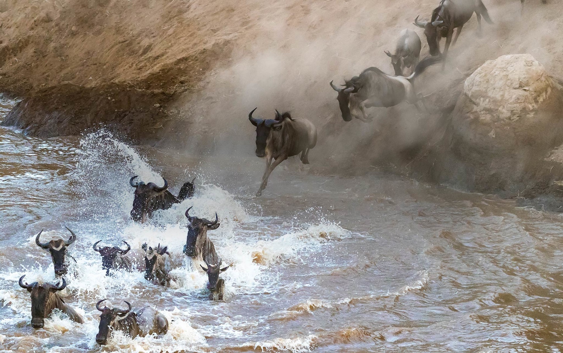 4 Days Masai Mara Migration Safari