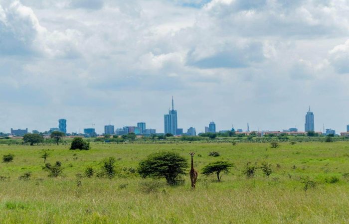 Nairobi City Tour & Excursions Nairobi City Tour & Excursions