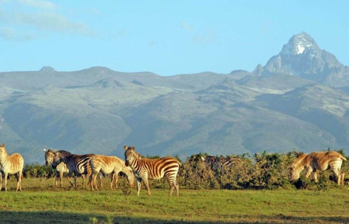 3-Day Nanyuki Self-Drive Getaway Package