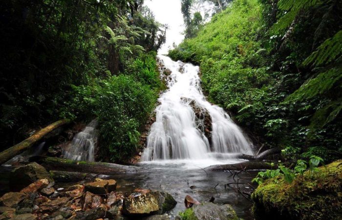 3 Days Bwindi Forest National Park