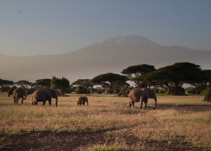 6 Days Safari to Masai Mara, Lake Nakuru & Amboseli