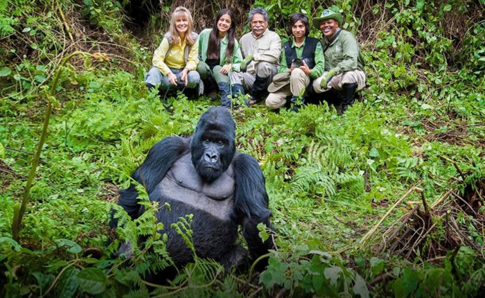 5 Days Rwanda Adventure and Gorilla Trekking
