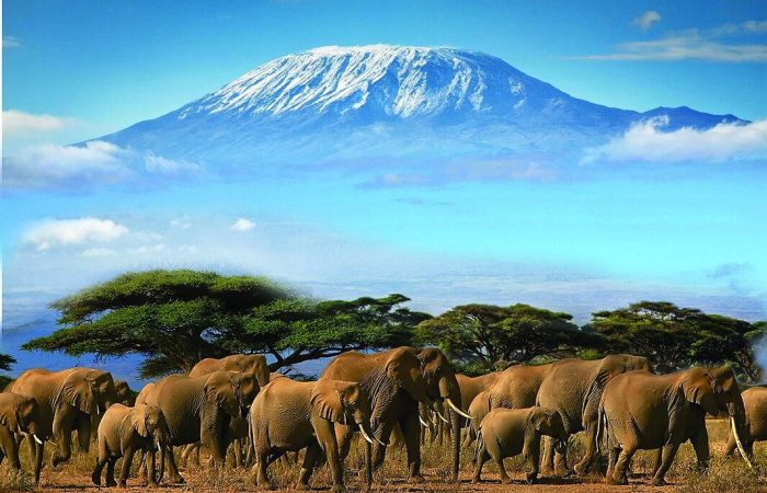 Views of Mt Kilimanjaro from Amboseli National Park