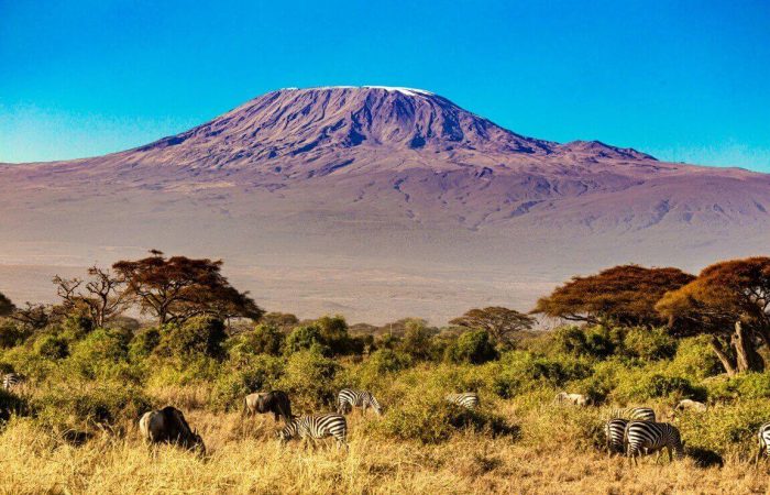 Amboseli National Park travel guide