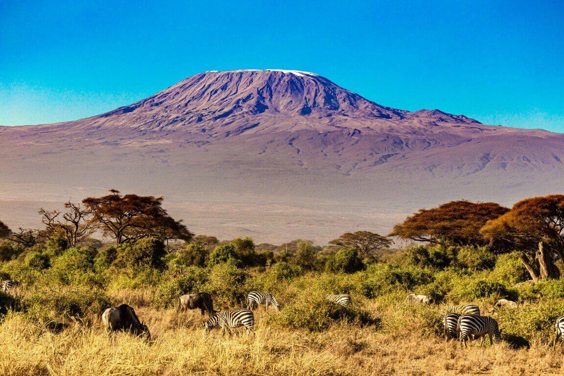 Amboseli National Park travel guide