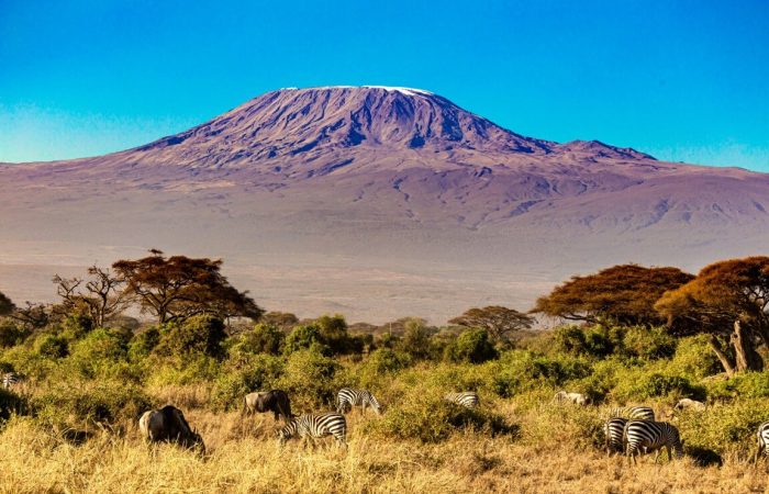 Amboseli National Park travel guide