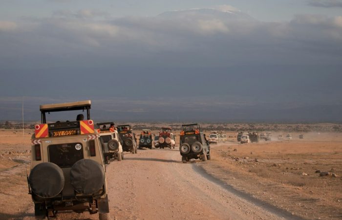 Which is Better: Masai Mara or Amboseli?