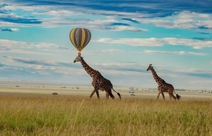 Masai-Mara-or-Serengeti