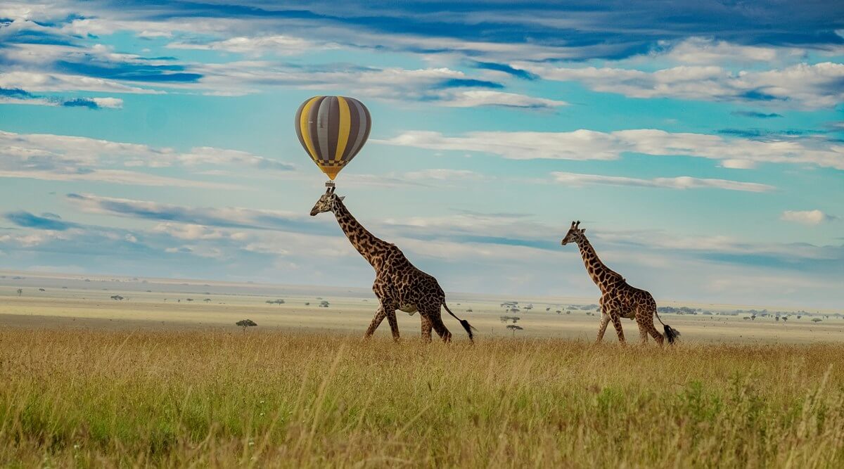 Masai-Mara-or-Serengeti