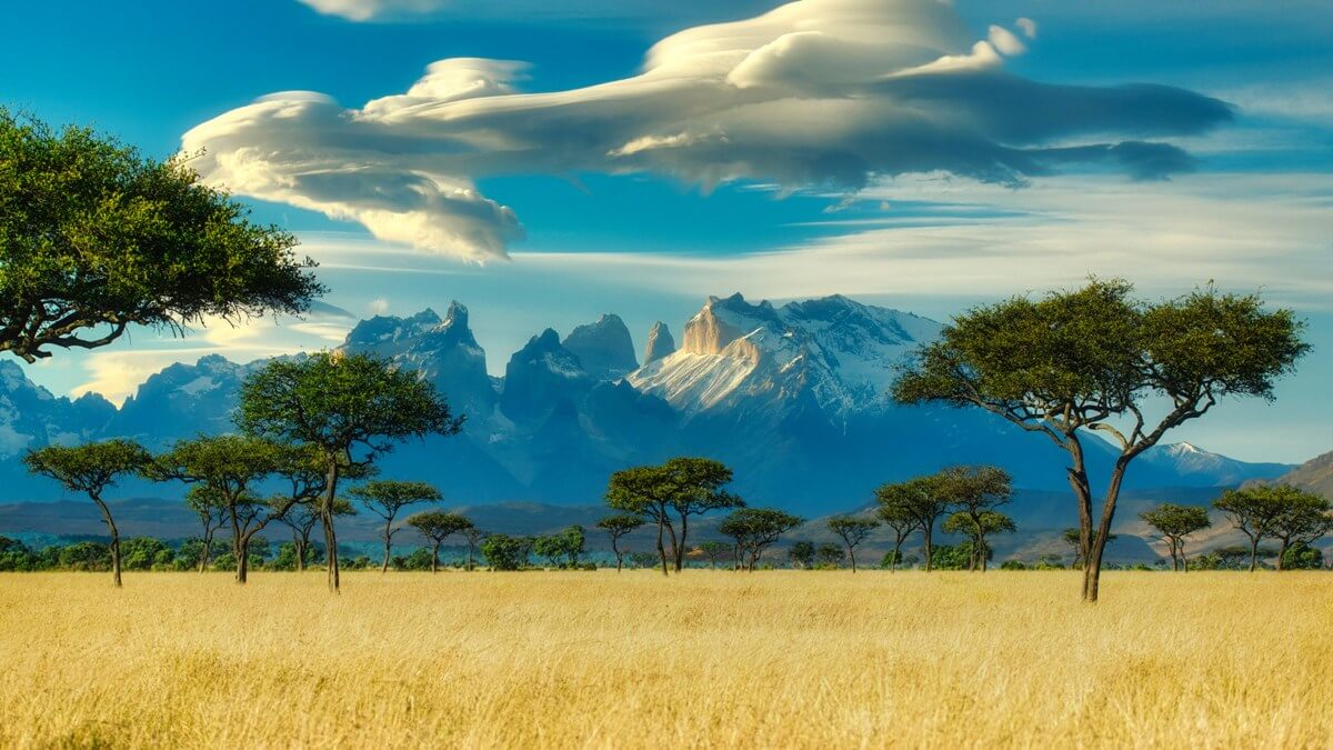 Ultimate Guide to Kenya Safaris (1)