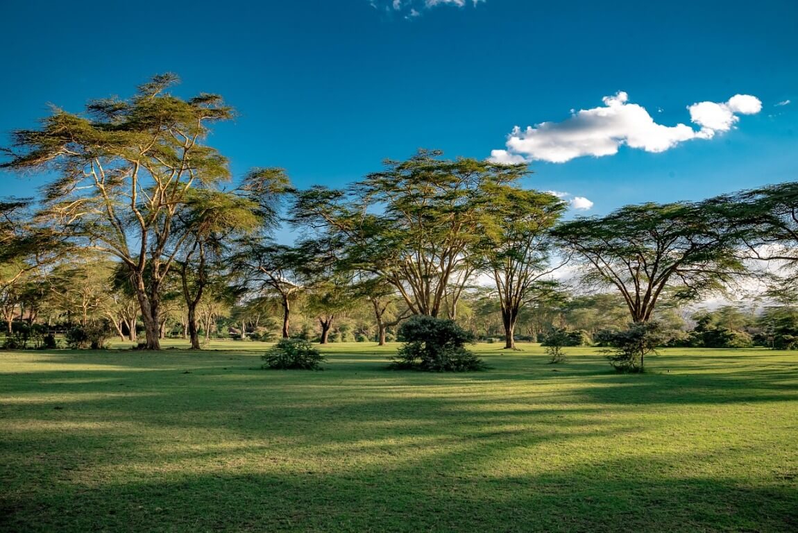10 Best Getaways Near Nairobi for a Perfect Escape
