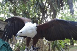 Malindi Excursions Day Trip Package