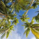 Safety and Travel Tips for Visiting the Kenyan Coast