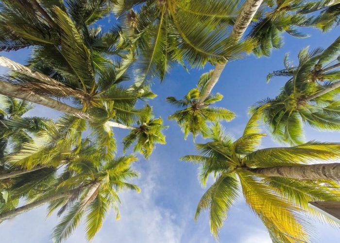 Safety and Travel Tips for Visiting the Kenyan Coast