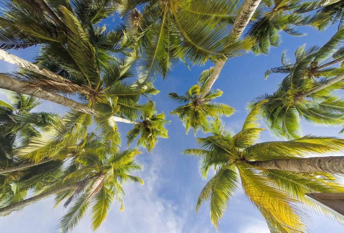 Safety and Travel Tips for Visiting the Kenyan Coast