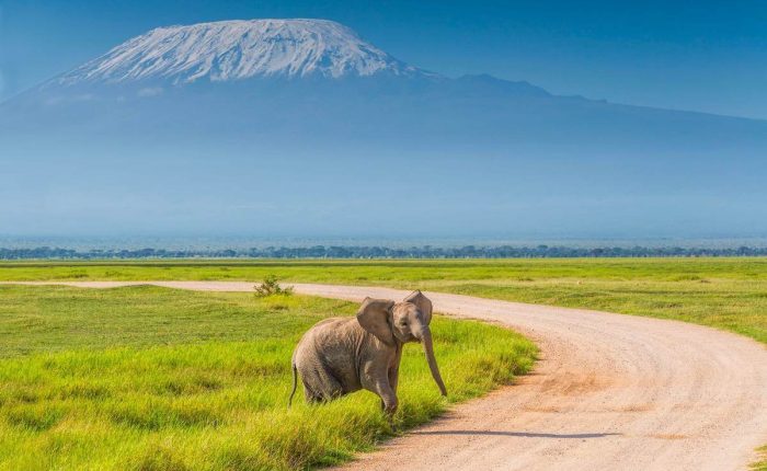 Amboseli National Park