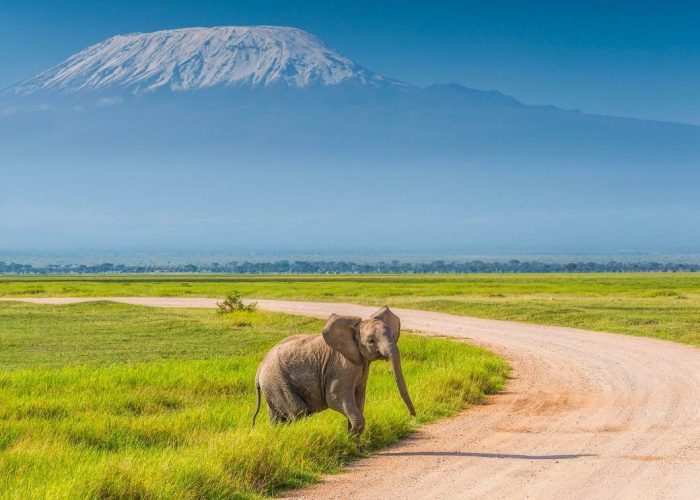 Amboseli National Park