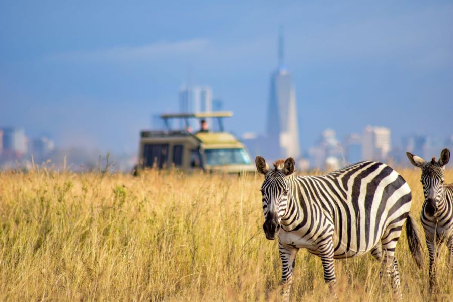 Nairobi-national-park