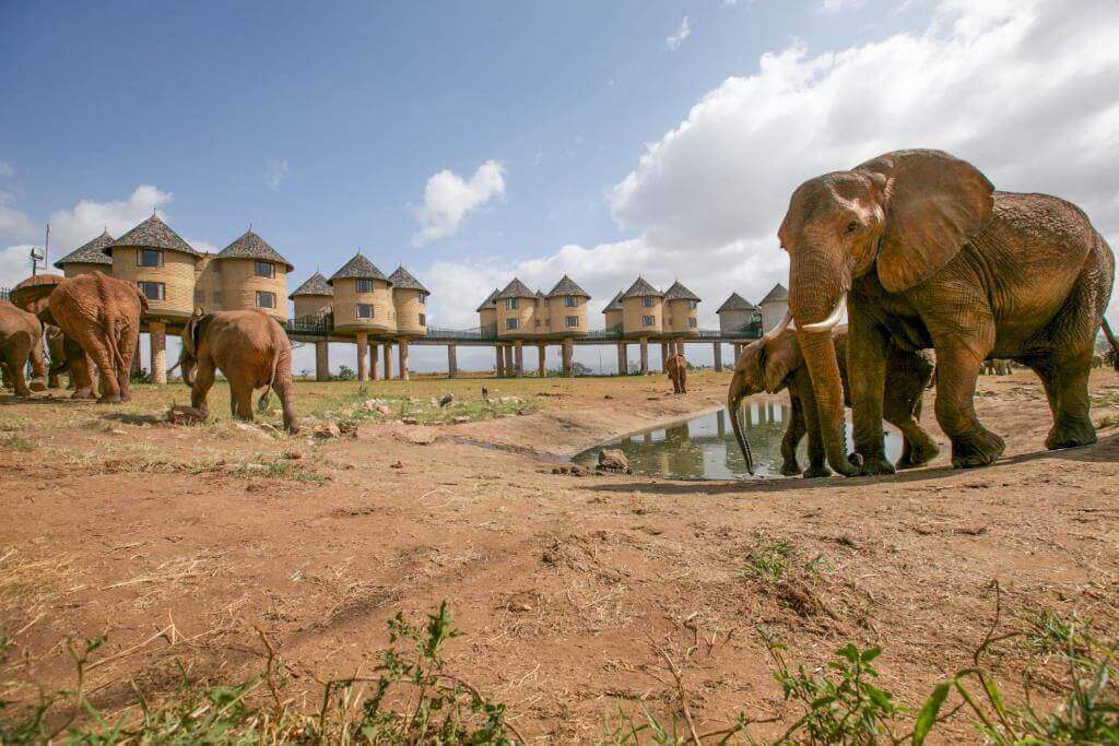 tsavo-national-park